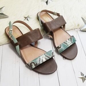 Elliott Lucca sandals aqua blue brown snakeskin 8